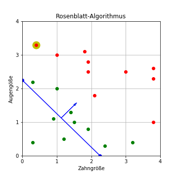 Rosenblatt-Algorithmus