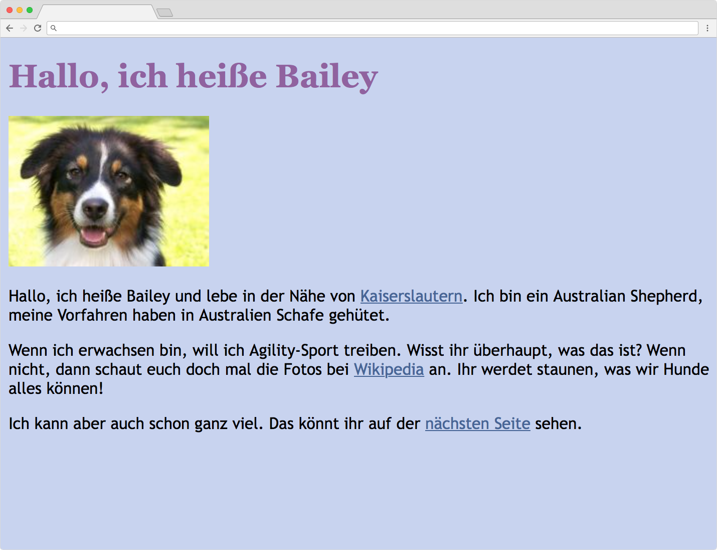 Webseite bailey1