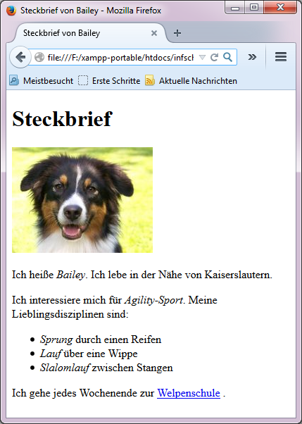 Webseite mit Steckbrief