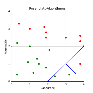 Rosenblatt-Algorithmus