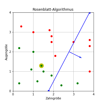 Rosenblatt-Algorithmus