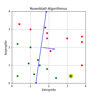 Rosenblatt-Algorithmus