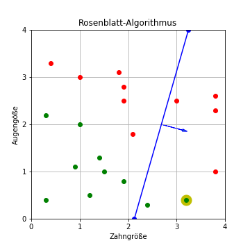 Rosenblatt-Algorithmus