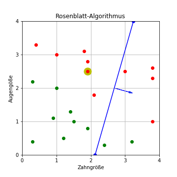 Rosenblatt-Algorithmus