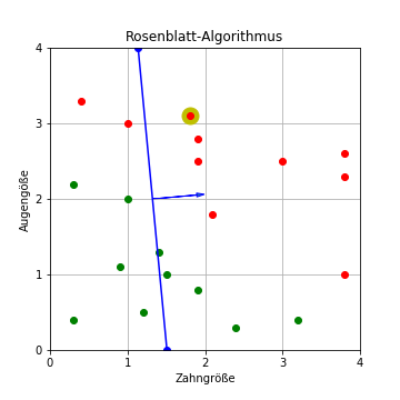 Rosenblatt-Algorithmus