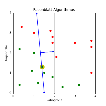 Rosenblatt-Algorithmus