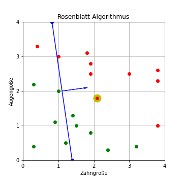 Rosenblatt-Algorithmus