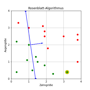 Rosenblatt-Algorithmus