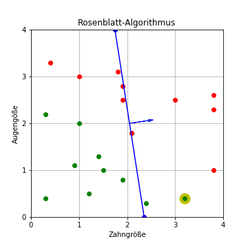 Rosenblatt-Algorithmus