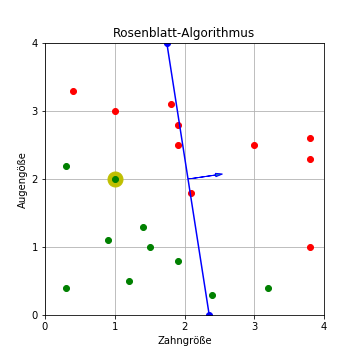 Rosenblatt-Algorithmus