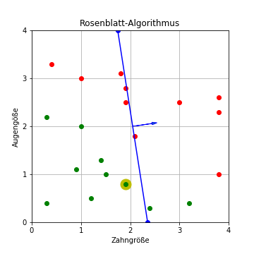 Rosenblatt-Algorithmus