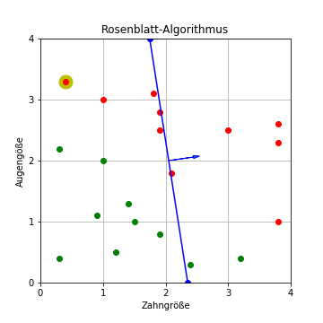 Rosenblatt-Algorithmus