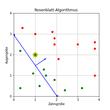 Rosenblatt-Algorithmus