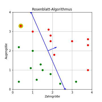 Rosenblatt-Algorithmus