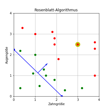 Rosenblatt-Algorithmus