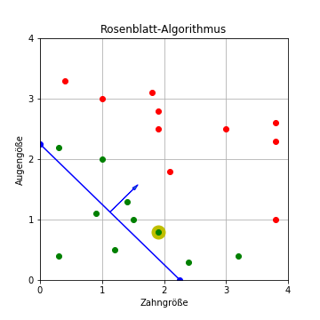 Rosenblatt-Algorithmus